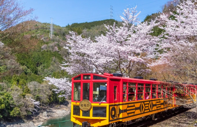 Photo of the Sagano Scenic Railway in Kyoto, Japan.